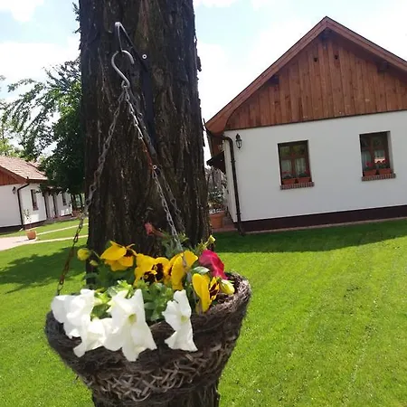 Gasthof Toth Vendeghaz Es Apartmanhaz Ujfeherto