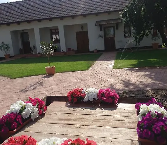 Гостевой дом Toth Vendeghaz Es Apartmanhaz