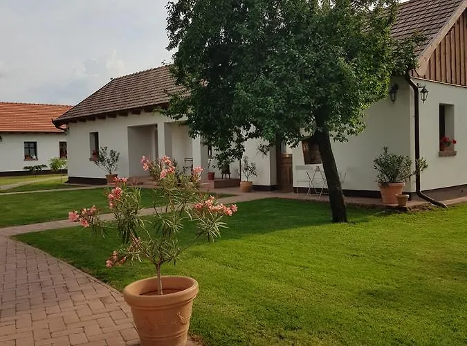 Toth Vendeghaz Es Apartmanhaz Гостевой дом Ujfeherto